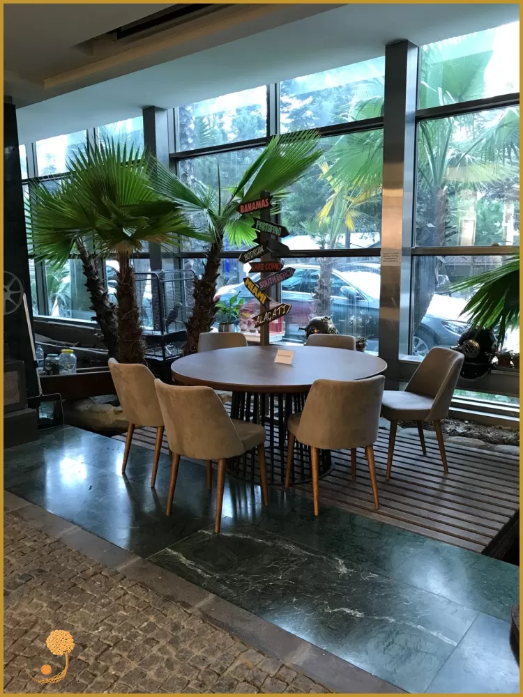 CAFE PROJELERİ - MİMARİ CAFE PROJELERİ - CAFE PROJESİ TASARIMI