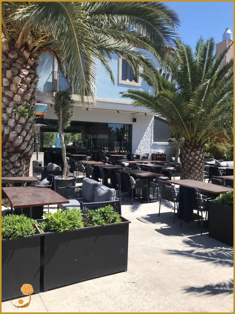 CAFE PROJELERİ - MİMARİ CAFE PROJELERİ - CAFE PROJESİ TASARIMI