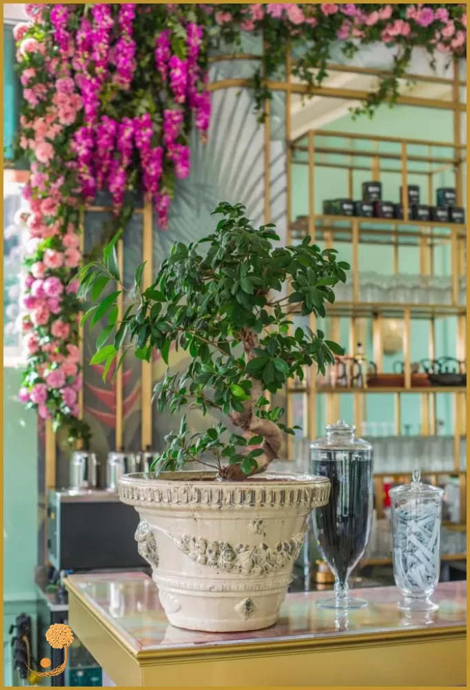 CAFE PROJELERİ - MİMARİ CAFE PROJELERİ - CAFE PROJESİ TASARIMI