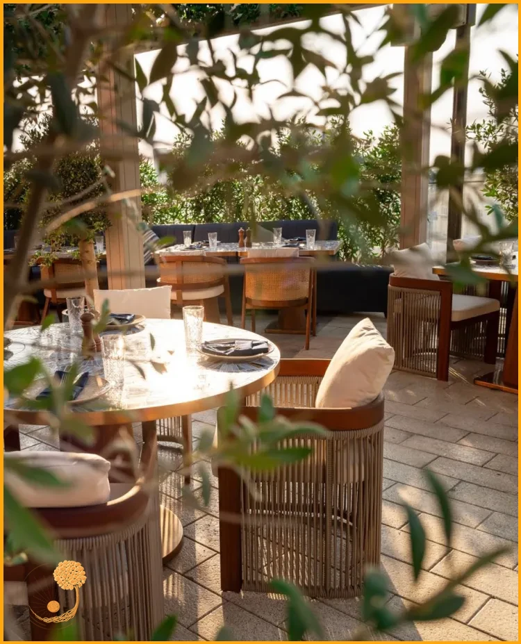 Bahçeye Uygun Koltuk Takımı