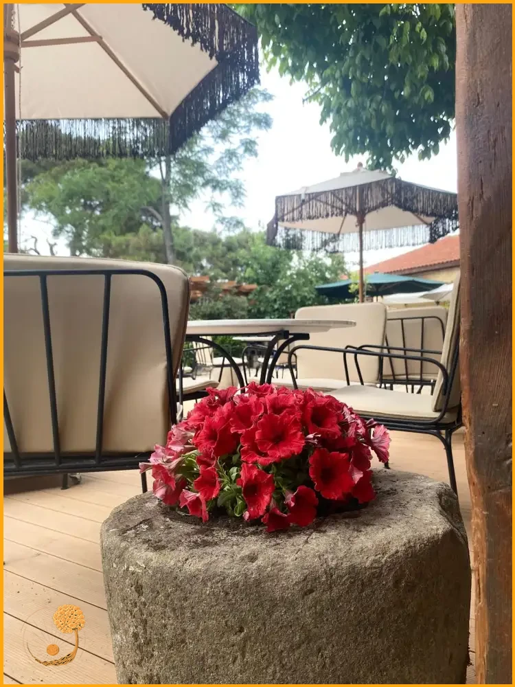 Modern Bahçe Dekorasyonu