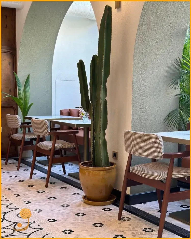 Açık Alan Restoran Mimari Tasarımları