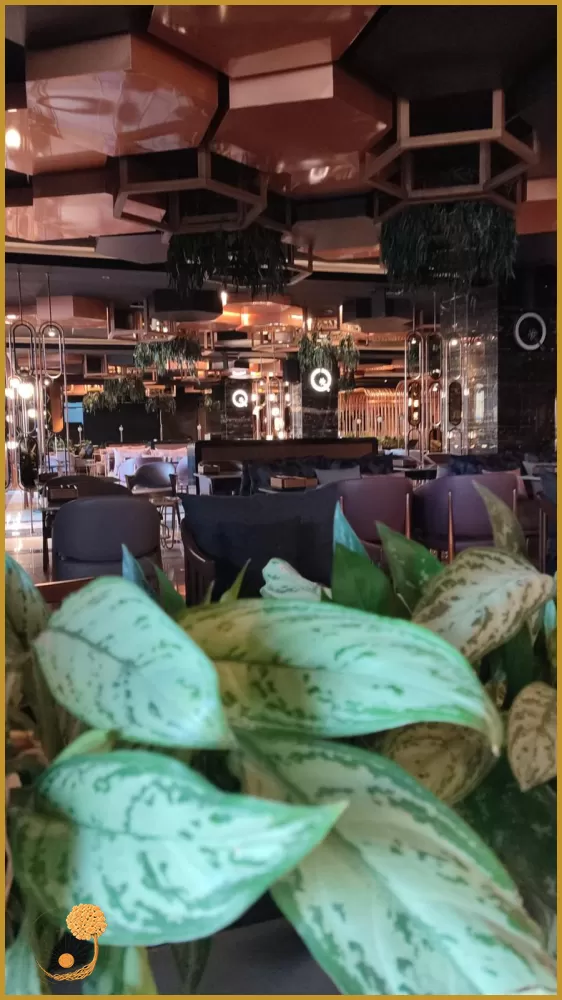 MİMARİ RESTAURANT PROJELERİ - RESTAURANT TASARIMI - RESTAURANT PROJELERİ