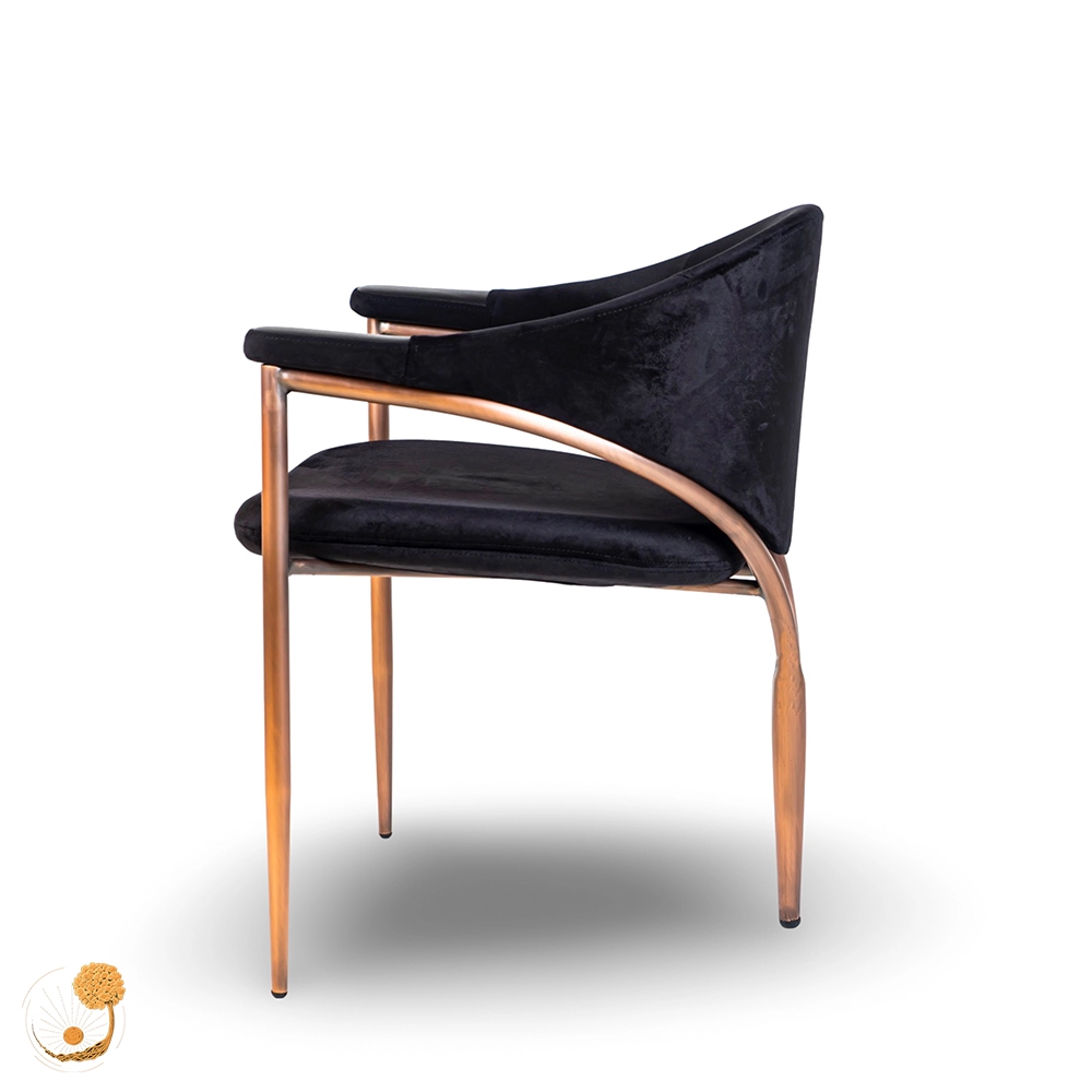 delawera chair - 2