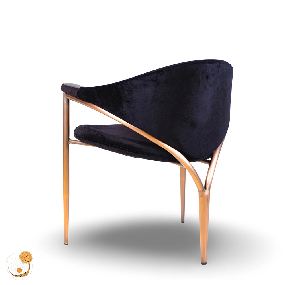 delawera chair - 3
