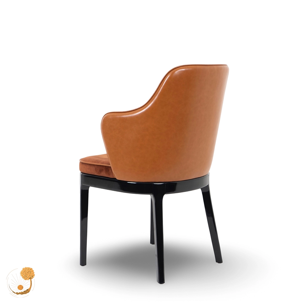 trıon chair - 2